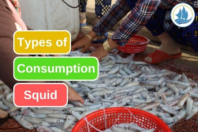 5 Types Of Common Edible Squid Around The World